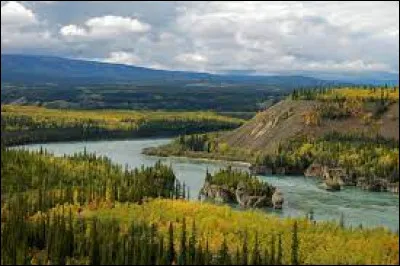Le fleuve, long au total de 3 100 km, naît au pied du glacier Llewellyn dans le lac Atlin en Colombie-Britannique ; il coule d'abord au Canada vers le nord ouest, puis vers l'ouest en Alaska où il effectue la majeure partie de son cours ; il se jette dans la mer de Béring par un immense delta. Ce fleuve est le ...