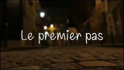 À quel chanteur faut-il attribuer le titre "Le premier pas" ?