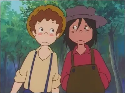 Qui est l'ami inséparable de Tom Sawyer ?