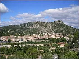 La ville se niche entre deux plissements de rochers, au dbouch de l'troite porte des Cvennes, valles des Gardons de St-Jean et de Miabet. Rpute pour sa bambouseraie.