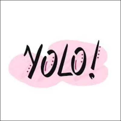 De quelle expression anglaise "Yolo" est-il l'acronyme ?