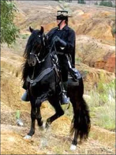 Quel est le nom du cheval noir de Zorro ?