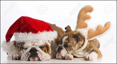 Comment dit-on "père Noël" en anglais ?