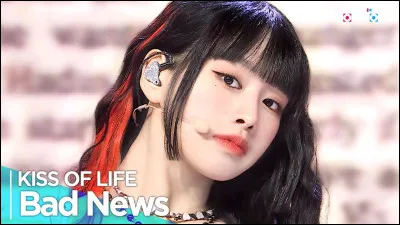 Quel est le nom officiel du Fandom ?