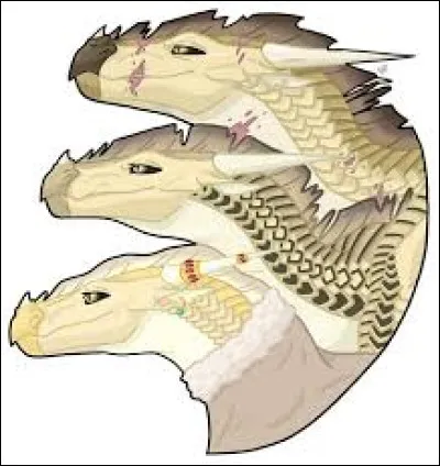 Qui voulait sympathiser avec les Dragonnets du destin ?