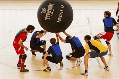 Quel est ce sport se jouant avec un ballon géant ?