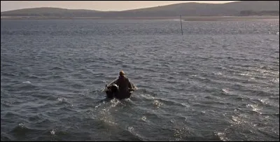 Qui est cette actrice s'élançant dans la baie ?