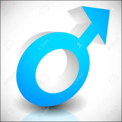 Qui serait ton petit ami (2) ?