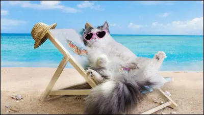 Où pars-tu en vacances ?