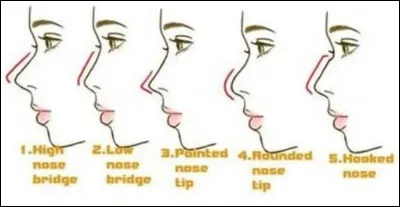 Quel est ton type de nez ?