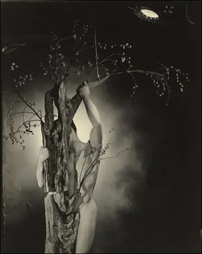 Jeune homme d'une exceptionnelle beauté, né en sortant d'un arbre à myrrhe. Qui est-il ?