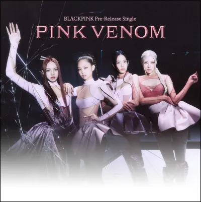 Quelle chanson préfères-tu ? ''Pink Venom'' ou ''Take Two'' ?