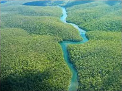 Dans quels pays le fleuve Amazone passe-t-il ?