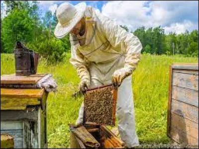 Quel est le métier de celui qui récolte le miel des abeilles ?