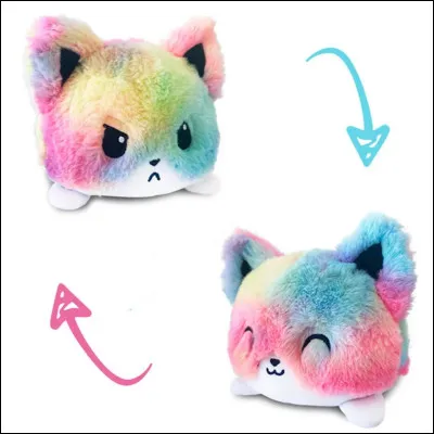 Le cadeau de tes r&ecirc;ves est...