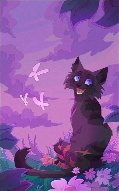 Museau Cendré : comment est-elle morte ?