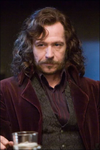 Qui est l'acteur qui joue Sirius Black ?