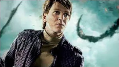 Qui est l'acteur qui joue Fred Weasley ?
