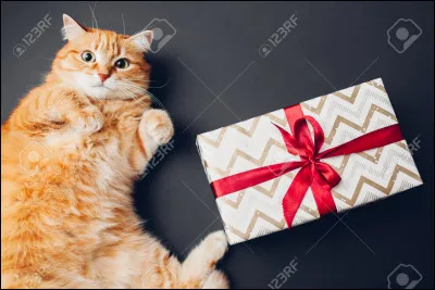 Aimes-tu les cadeaux ?