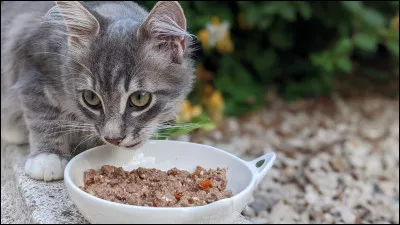 Veux-tu qu'on touche à ta nourriture ?