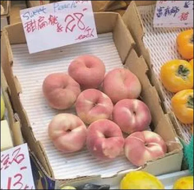 Quel est ton passe-temps favori ?