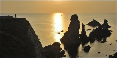 Quel environnement préfères-tu ?