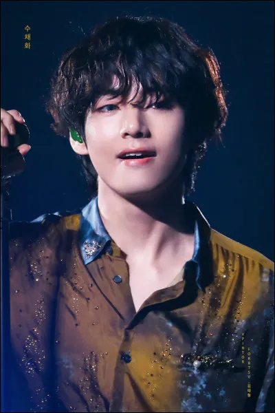 On dit que Taehyung est le plus...