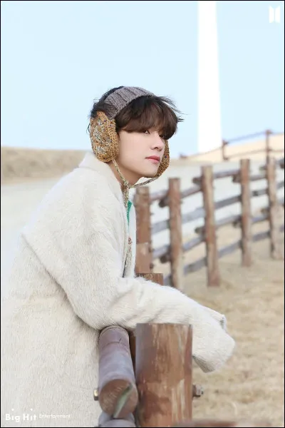 Quelle est la capacité de V ?