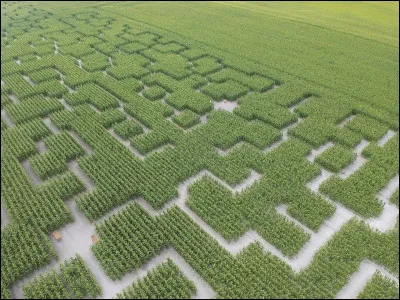 Quels exploits accomplit Thésée ?