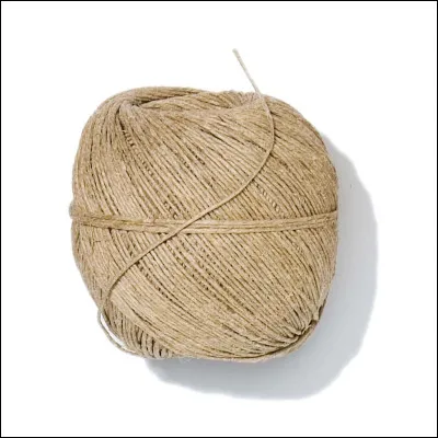 Qui l'a aidé pour ces exploits ?