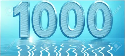 Quel est son surnom ?