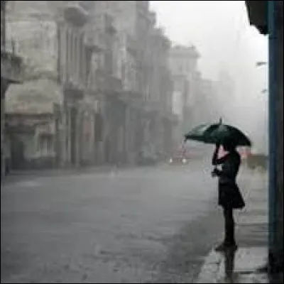 Le duo musical "Blues Trottoir" a sorti l'album "Un soir de pluie" en 1987. Qui est le père du saxophoniste Olivier Defays ?