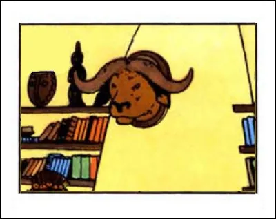 Une tête de buffle ? Ma parole, mais nous sommes au beau milieu de ... (Quel album ?)