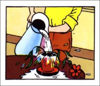 Mais... Tintin a une drôle de façon d'arroser ses plantes ! Dans quel album ?