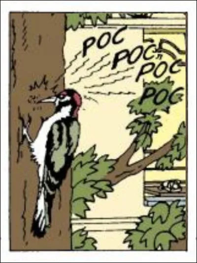 Qu'il est agaçant, ce pic-vert, dans ... (Complétez !)