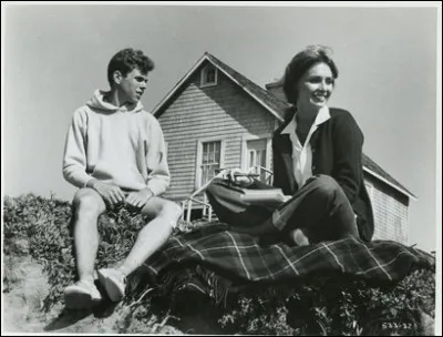 De quel été s'agit-il pour Robert Mulligan ?