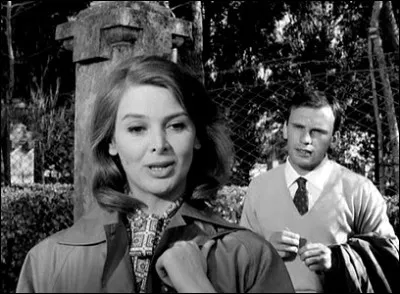 Comment est l'été pour le réalisateur Zurlini ?