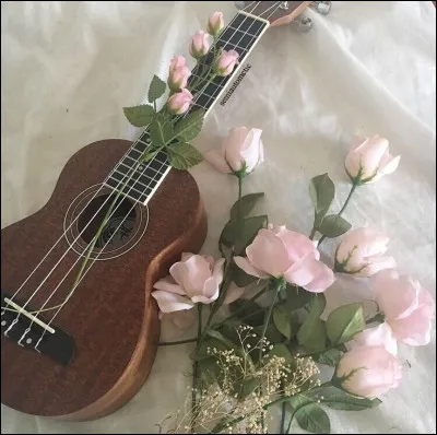 Qui interprétait la chanson "Lettre à France" en 1977 ?