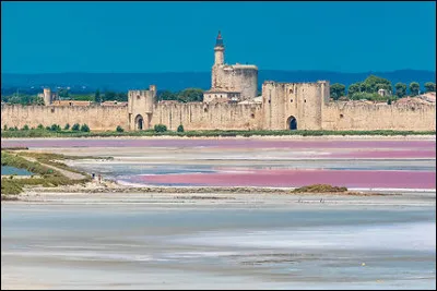 La ville d'Aigues-mortes, située dans l'arrière-pays camarguais, dans le Gard, fut créée par le roi de France surnommé Saint-Louis.
On le fête à la fin août. À qui rend-on donc honneur ?