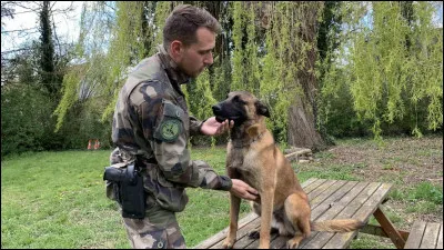 Ton maître te donne un ordre.