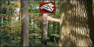 Qui se cache derrière cet arbre ?