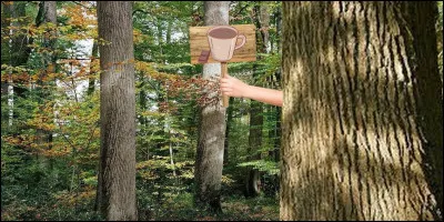 Qui se cache derrière cet arbre ?