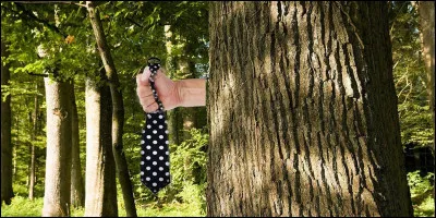 Qui se cache derrière cet arbre ?