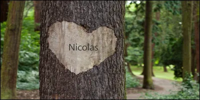 Qui se cache derrière cet arbre ?