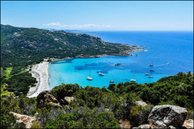 Quelle ville de Corse-du-Sud est située à l'embouchure du Rizzanese ?