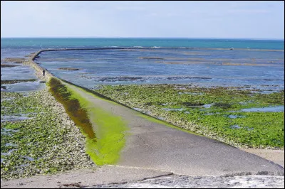 Que sont La Foirouse, La Vasouse, La Chouize et La Touche-à-tout sur l'île de Ré ?