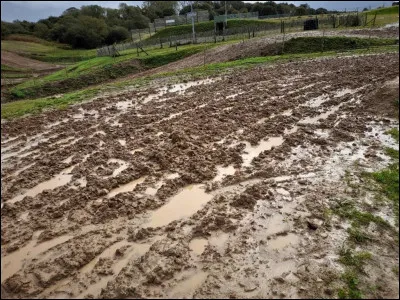 Quelle lettre faut-il ajouter pour obtenir un objet sphérique ?