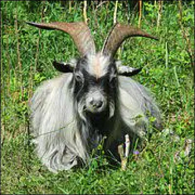 Quelle lettre faut-il remplacer pour obtenir l'extrémité ?