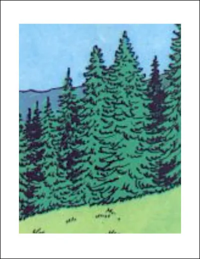 ... et toujours dans la même catégorie > De quelle album s'agit-il ?