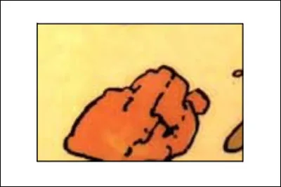 Série "Minéraux" > D'où sort ce caillou ?